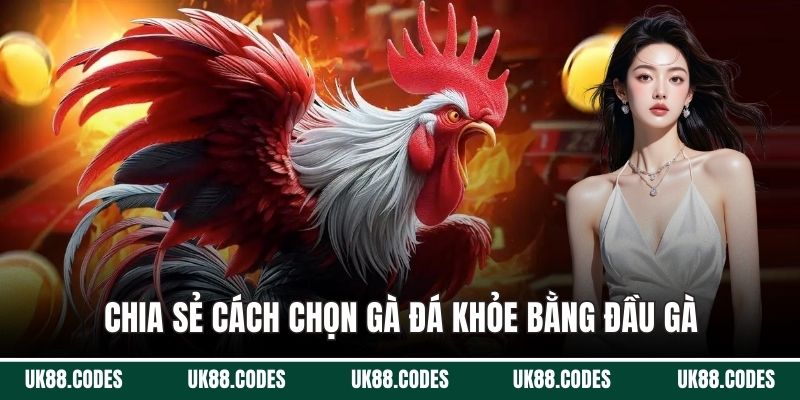 Chia sẻ cách chọn gà đá khỏe bằng đầu gà