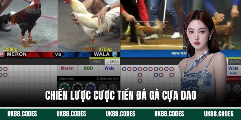 Chiến lược cược tiền đá gà cựa dao