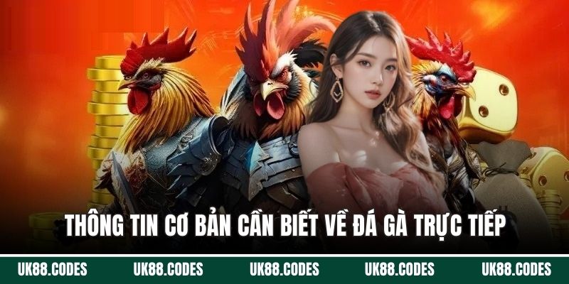 Thông tin cơ bản cần biết về đá gà trực tiếp
